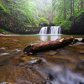 Sycamore Falls